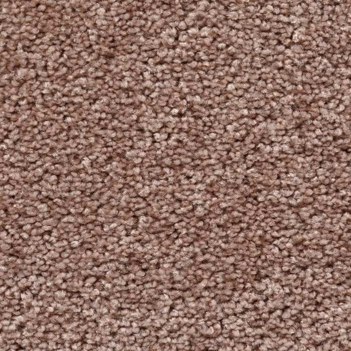 Frisé - Modesta - 015